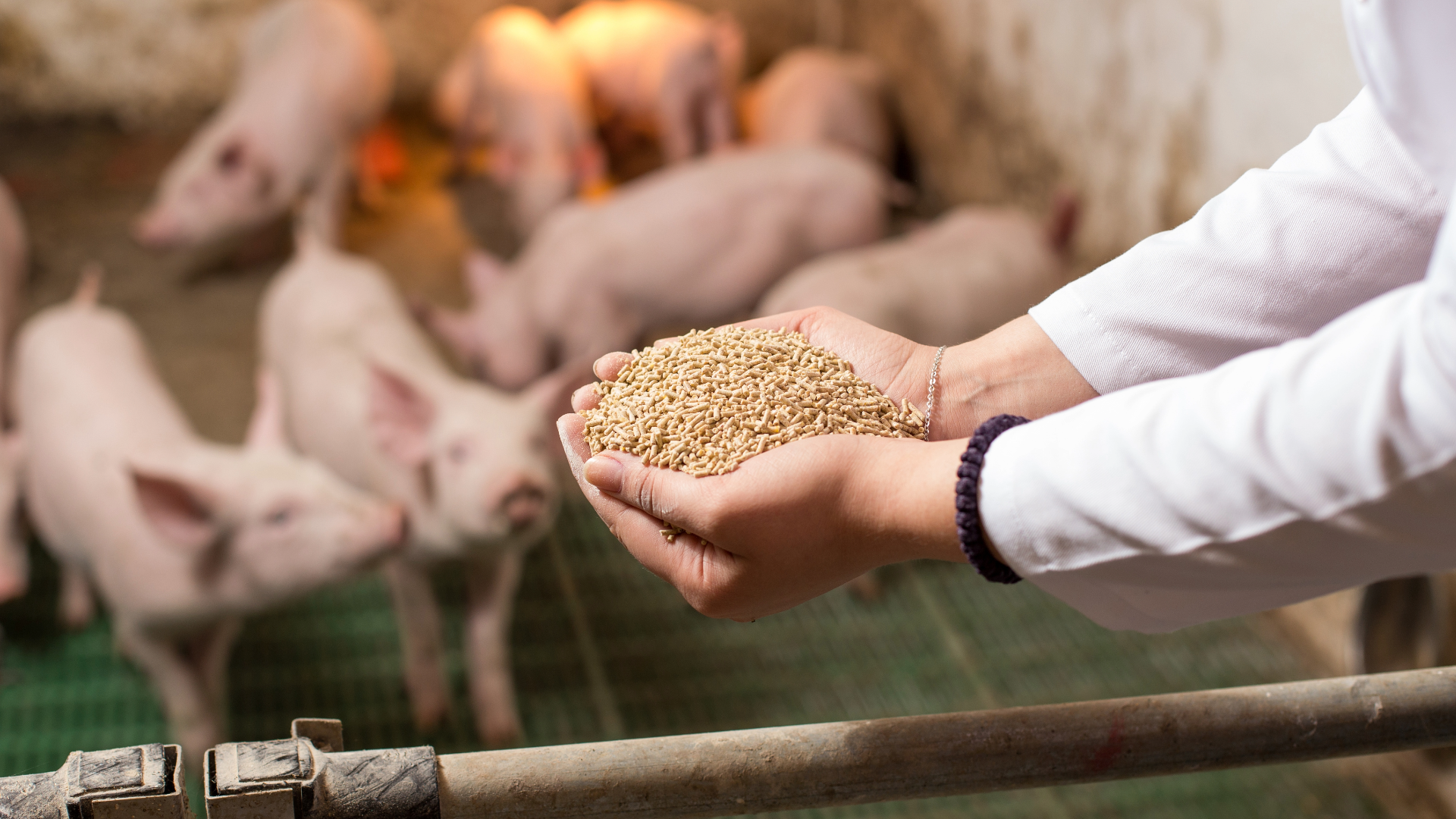 Mining Industry Bulk Bag