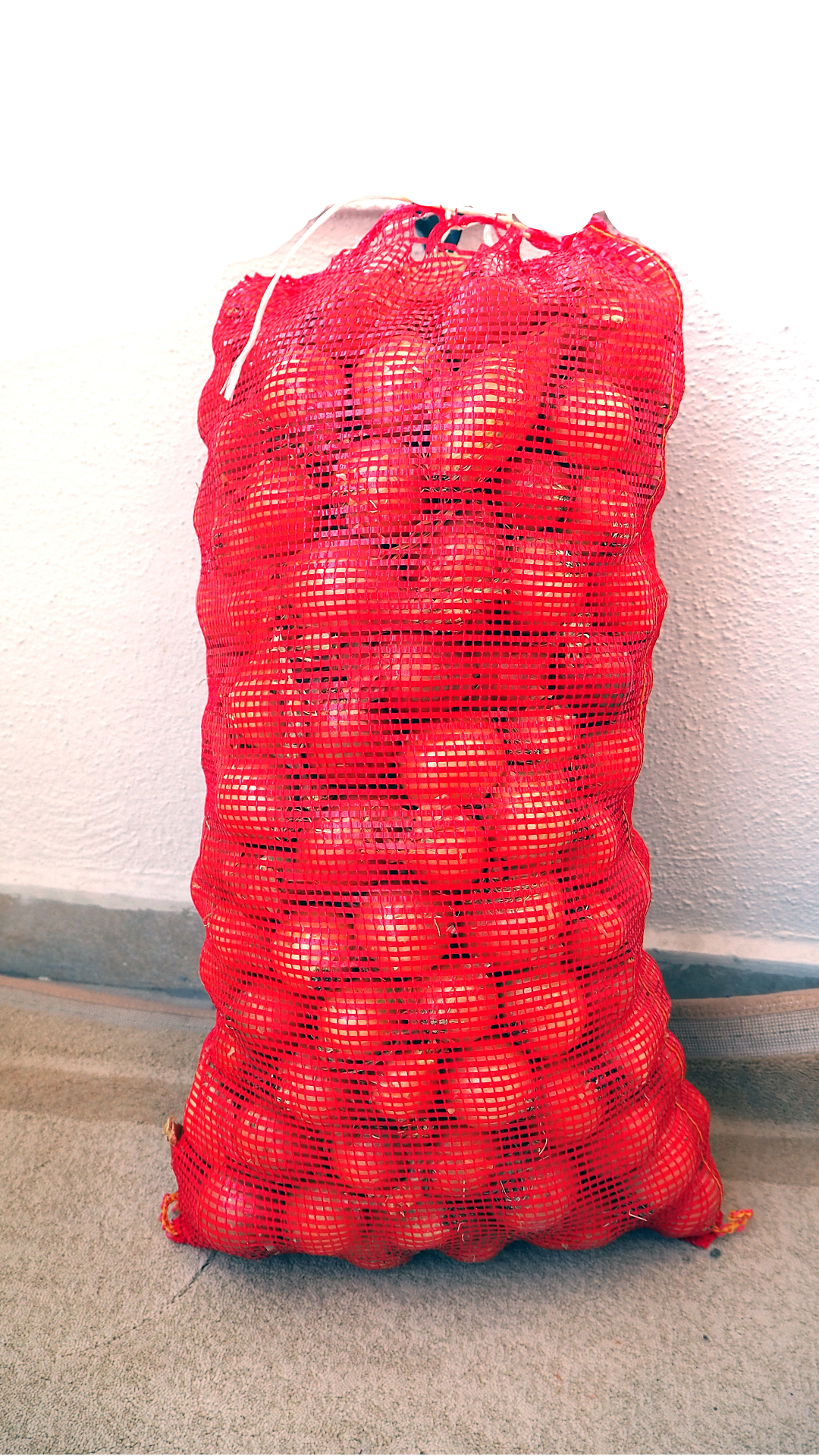 Mesh Onion Bags for Sale